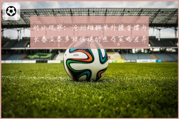 对比观察:沧州雄狮单外援苦撑与长春亚泰多核伤退的生存策略差异
