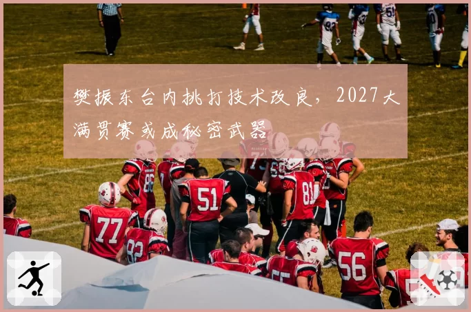 樊振东台内挑打技术改良,2027大满贯赛或成秘密武器