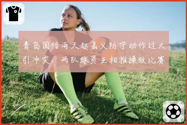 青岛国信海天赵嘉义防守动作过大引冲突，两队球员互相推搡致比赛中断
